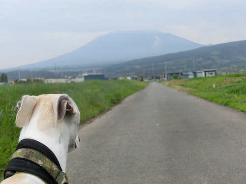 今朝の富士山～７月１日～