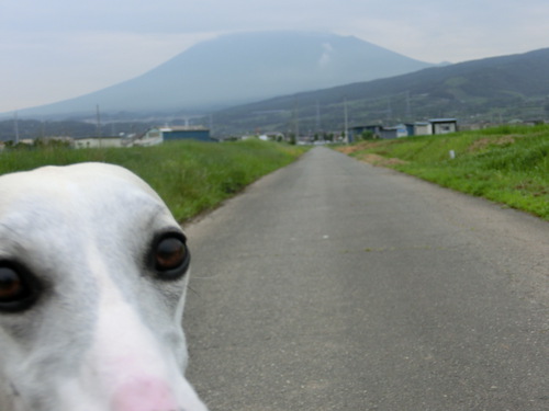 今朝の富士山～７月１日～