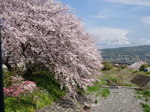 今日の富士山～４月６日～