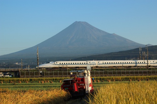 今朝の富士山～１０月９日～