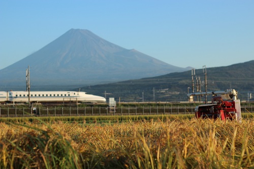 今朝の富士山～１０月９日～