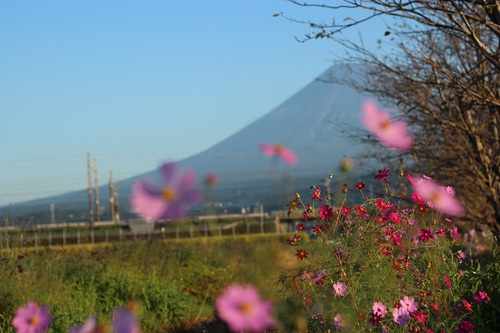 今朝の富士山～１０月９日～