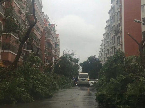 とんでもない台風です。