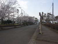 三島ちょこっとランニングコース☆