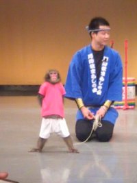 河口湖のお猿さん！