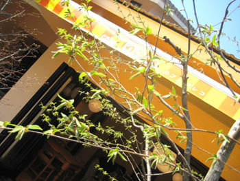 岡部町cafe ［Greco］！