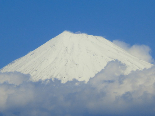 今日の富士山