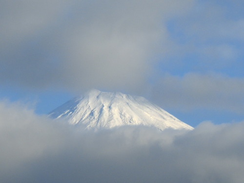 今朝の富士山