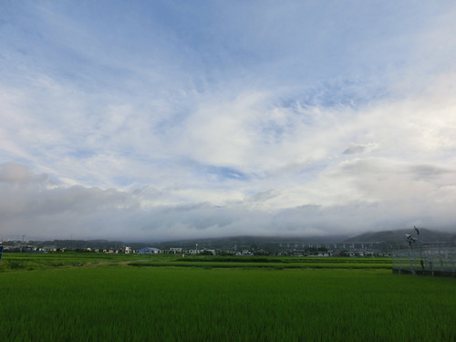 今朝の富士山～朝散歩編～