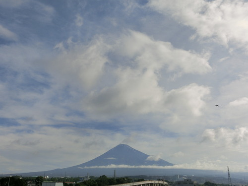 今朝の富士山～朝散歩編～