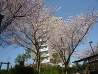 探訪日記