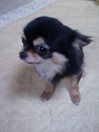 ヒトミちゃんが