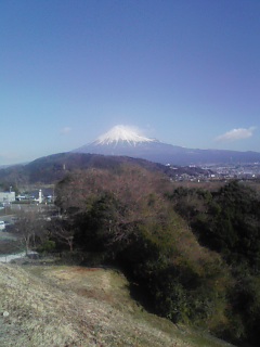 ♪三島でウナギ♪
