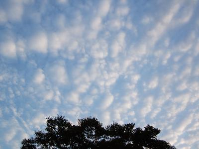 東北紀行〜杜の都　仙台へ　その壱