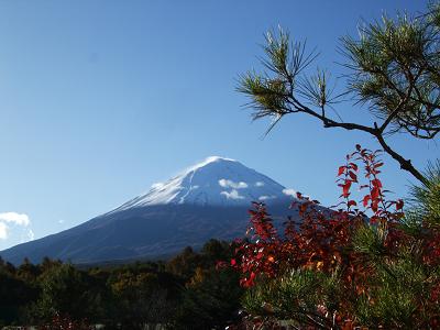 紅葉の富士山紀行〜道の駅なるさわからの富士山
