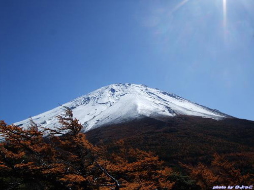 紅葉の富士山紀行〜奥庭からの富士山