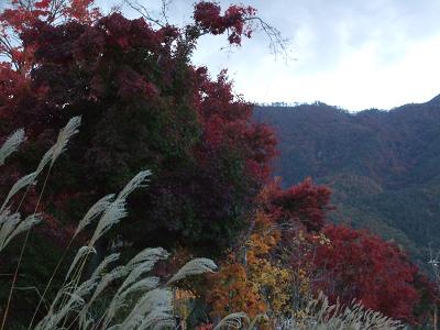 紅葉の富士山紀行〜河口湖の富士と紅葉まつり