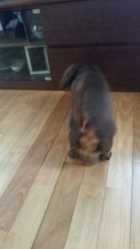 ワクチンの後は…