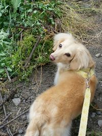 糖尿か？