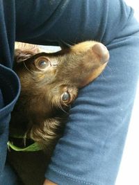 ヘルニア　その後①