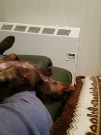 ノンストレスハウスについて