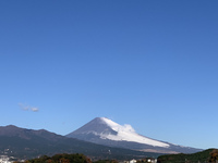 ブラックジャック 富士山♪