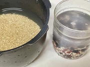 今日から連続で酵素玄米ごはんの時間経過をお届け！その1