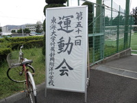 今年もやってきました