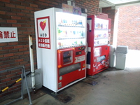 AED