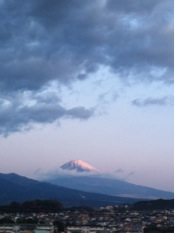 富士山と巣鴨とお屠蘇とお墓掃除と…！？