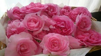 薔薇ジャム