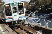 新年に浜松、豊橋の婚活パーティ、春に浜松で婚活列車