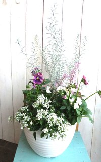 ～ギャザリング　寄せ植え教室　募集！～