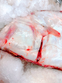 季節のお魚を！ 2022/03/09 10:41:23