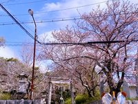 陽気な金曜日 2022/03/25 11:49:11
