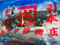 初かつを入荷！ 2022/03/26 08:11:10
