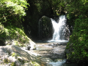 秘密の滝