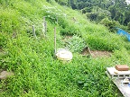 草むらじゃない