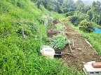 草むらじゃない