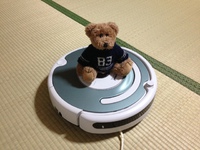 ルンバがわが家にやってきた