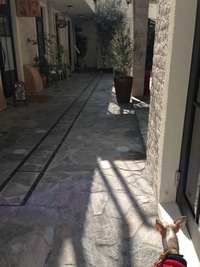 すてきな街ができました