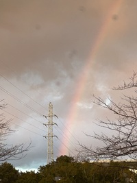 雨予報？