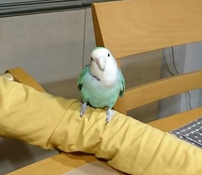 打ち解けてきた？