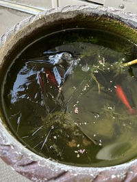 寒いわけだ