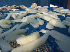 干し野菜