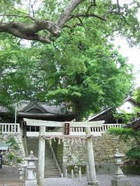ことのまま八幡宮