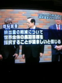 何を決めたの？