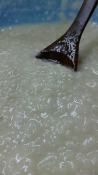 塩麹日記　その５