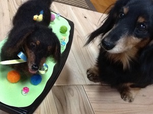 そっくりだワン♪