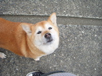 着実に。